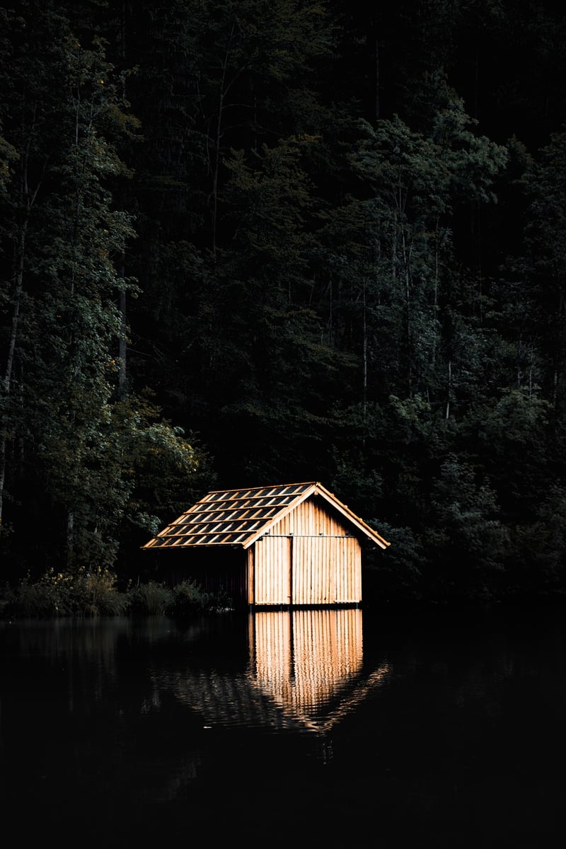 Wooden Cabin in Forest